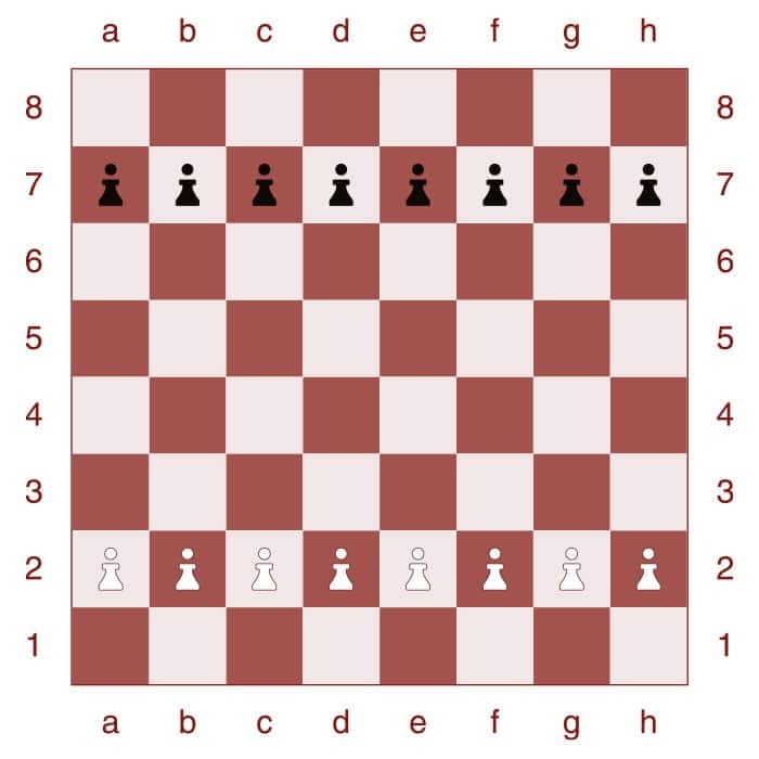 How To Set Up a Chess Board Properly? (Step-By-Step)