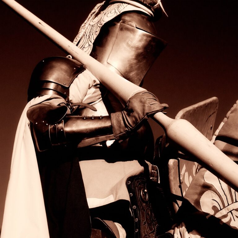 knight on the horse
